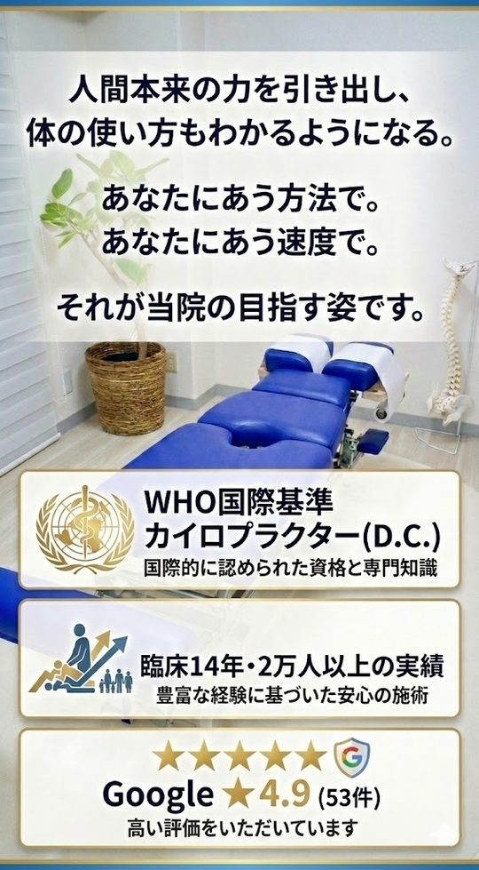 本　カイロ　整体　整骨　施術の貴重な資料になります。 本 カイロ 整体 整骨 施術の貴重な資料になります。 【公式通販】